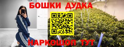 a pvp Нальчик
