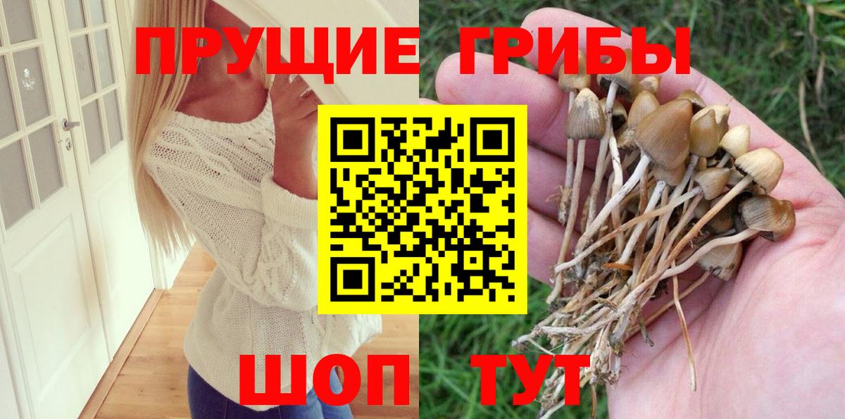 Новокубанск  Псилоцибиновые грибы Magic Shrooms  Галлюциногенные грибы Magic Shrooms  Вход с VPN 